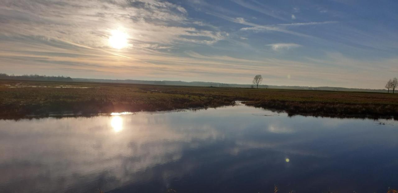 Guesthouse Het Gouden Eiland Veendam ภายนอก รูปภาพ