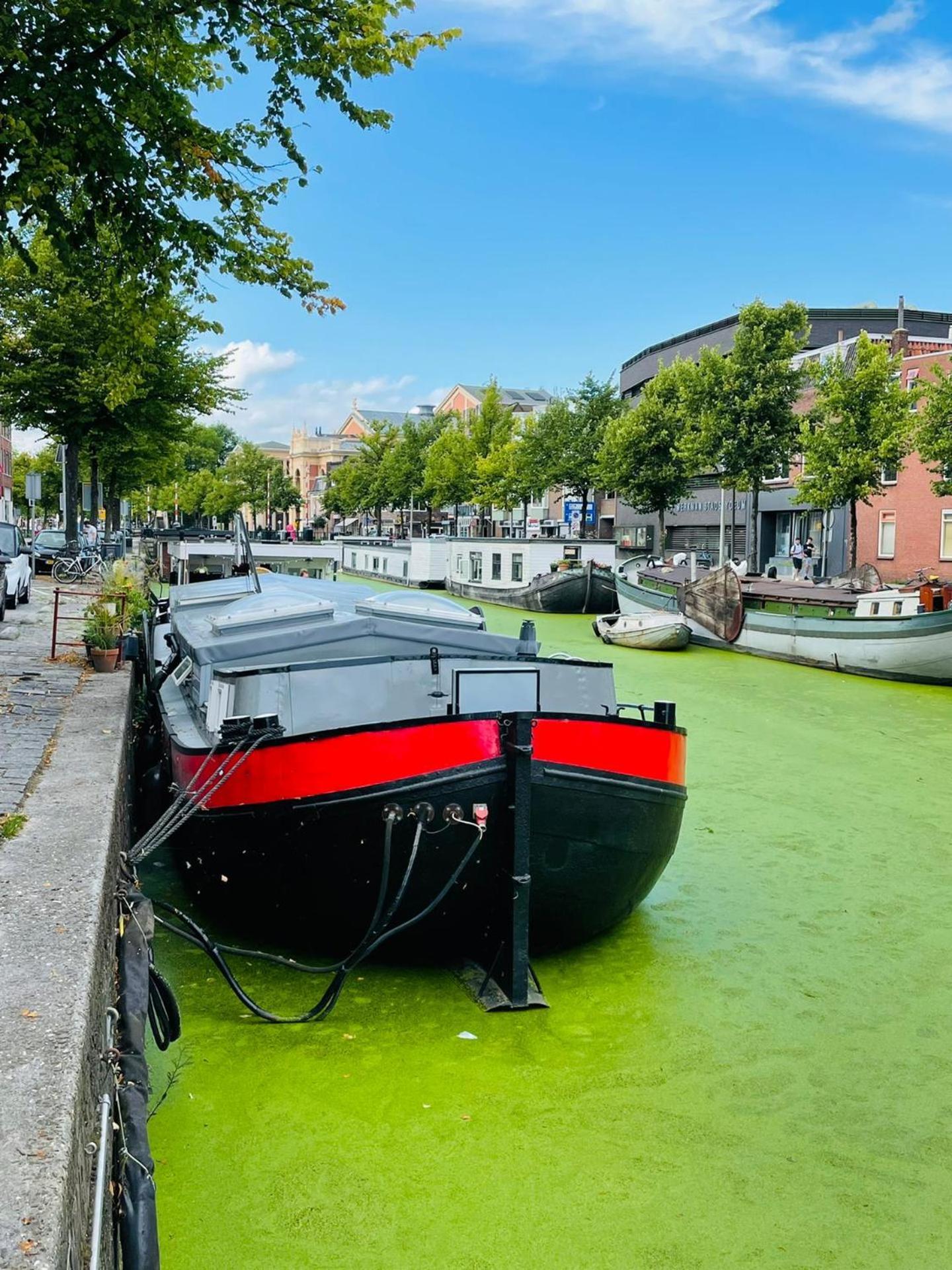 Guesthouse Het Gouden Eiland Veendam ภายนอก รูปภาพ